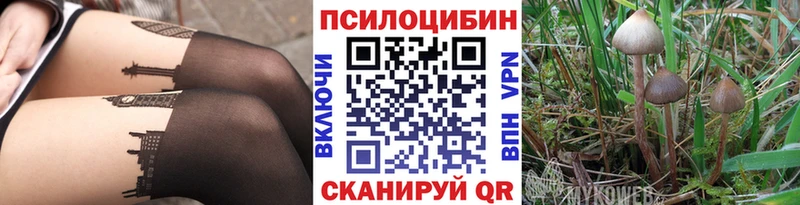 Псилоцибиновые грибы Cubensis  закладка  кракен маркетплейс  Ермолино 