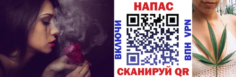 Бошки Шишки конопля  как найти   Ермолино 